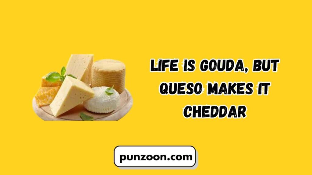 Funny Queso Puns Captions