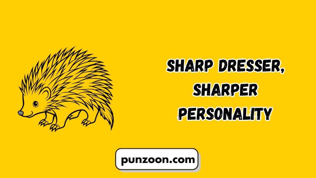 Short Funny Porcupine Puns