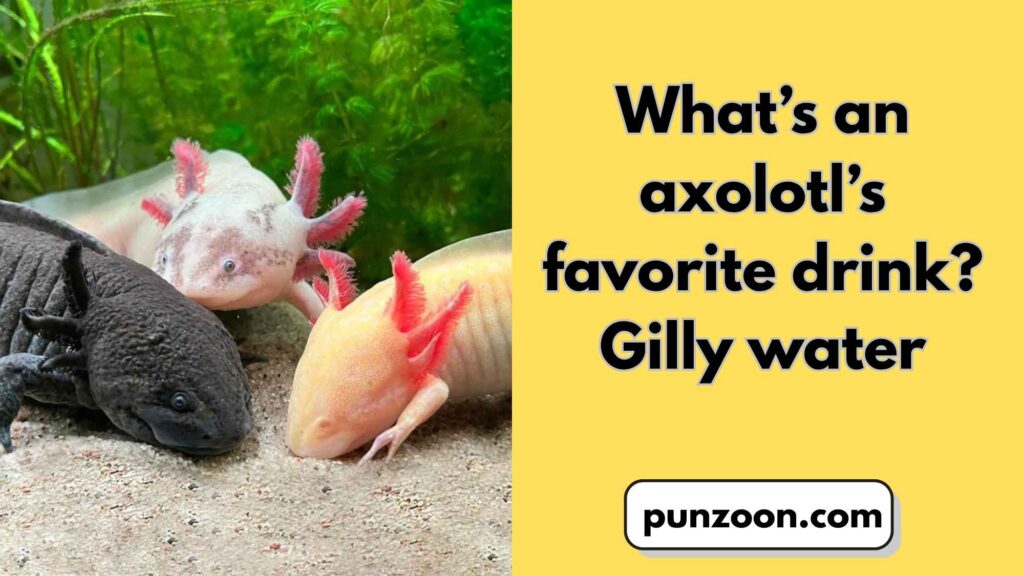 Best Axolotl-Themed Wordplay Jokes