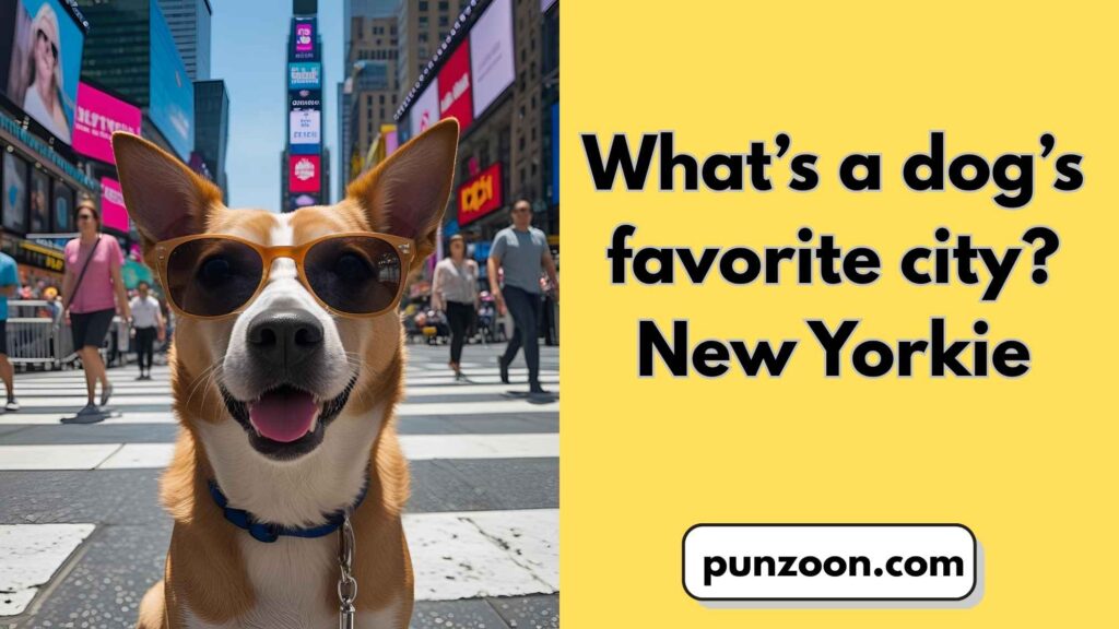 Best Dog-Themed Wordplay Jokes
