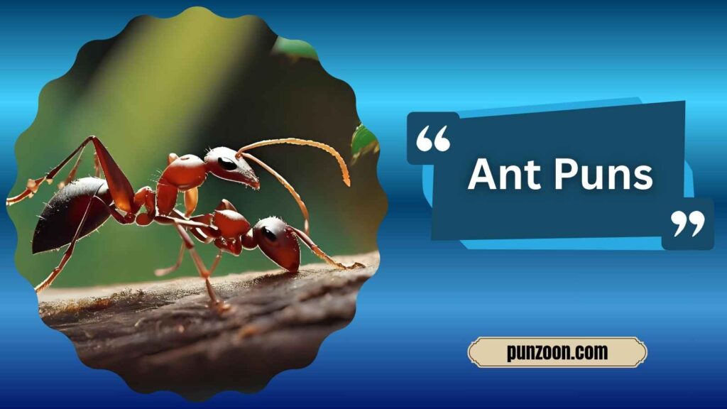  Clever Ant Puns for Instagram