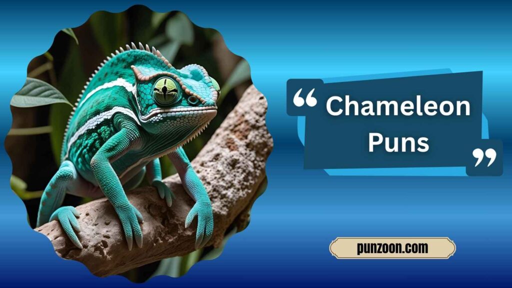 Clever Chameleon Puns for Instagram