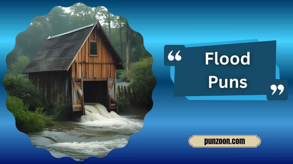  Clever Flood Puns for Instagram
