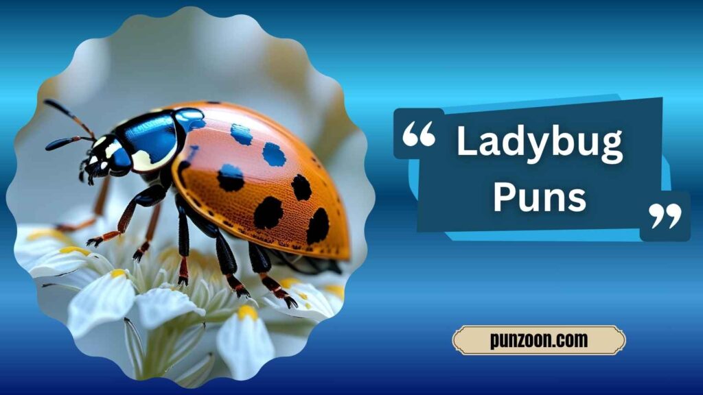  Clever Ladybug Puns for Instagram