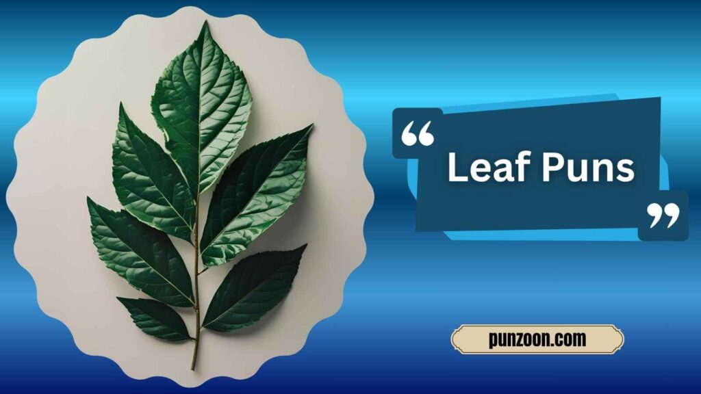 Clever Leaf Puns for Instagram