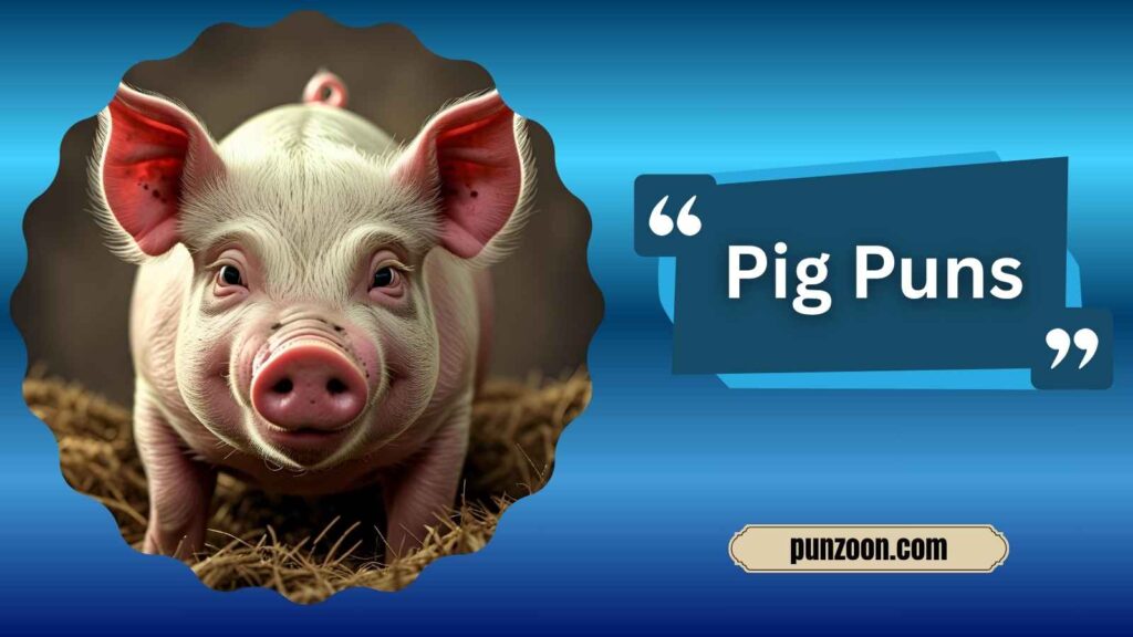 Clever Pig Puns for Instagram