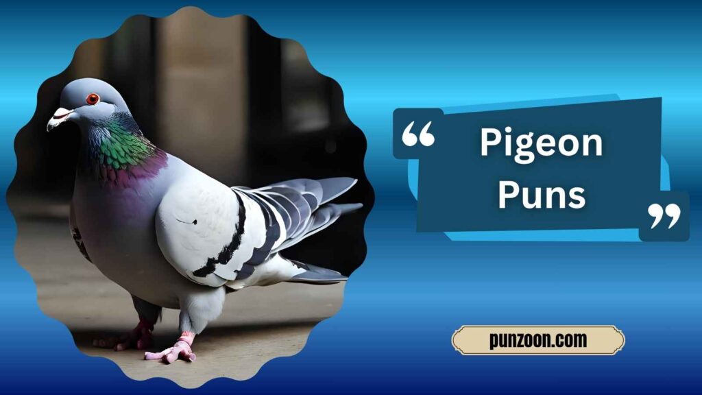 Clever Pigeon Puns for Instagram