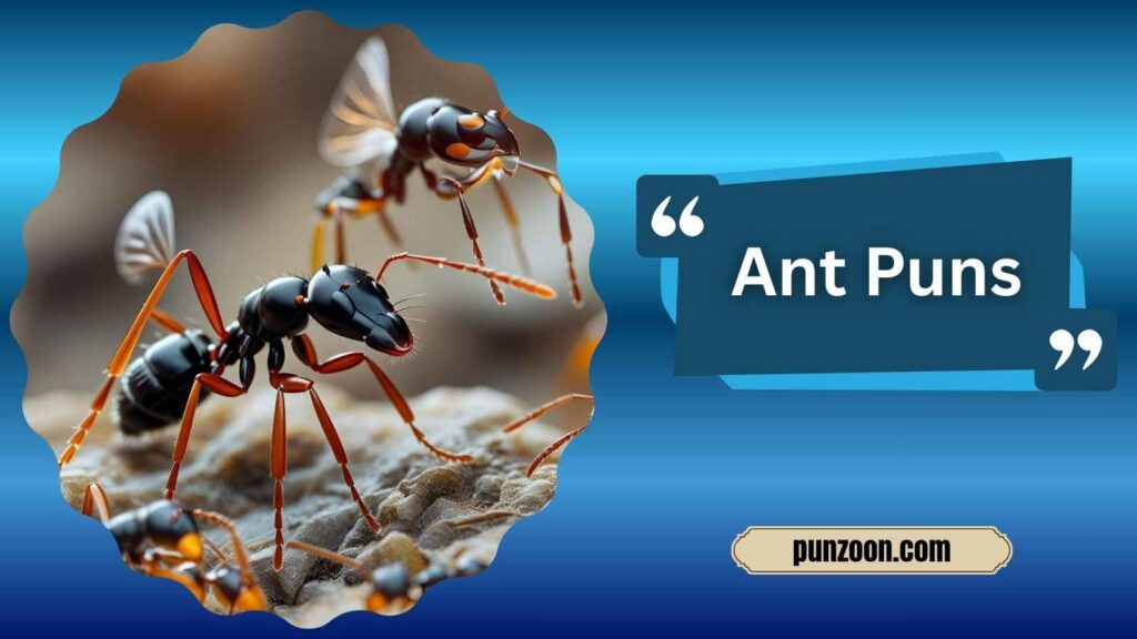 Funny Ant Puns One Liners