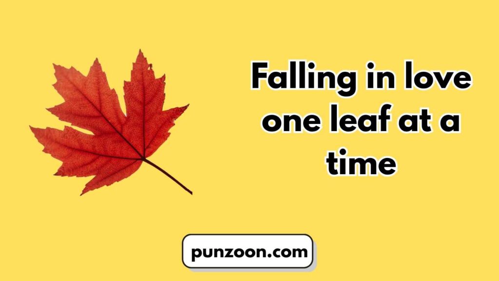 Funny Autumn Puns Captions