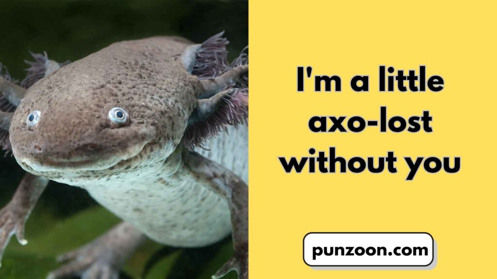 Funny Axolotl Puns Captions