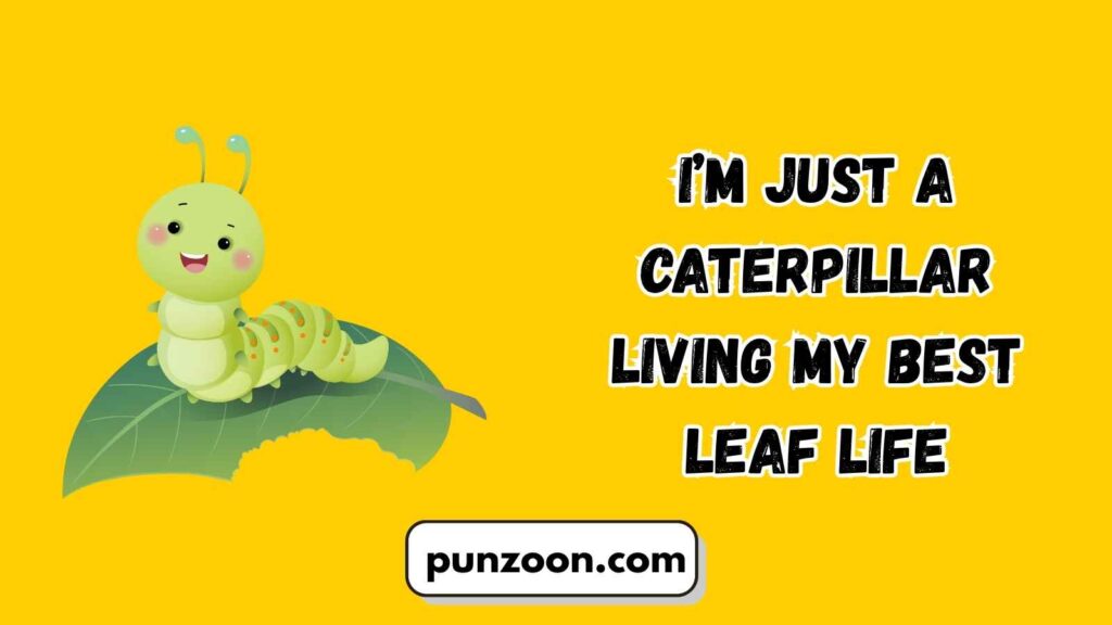 Funny Caterpillar Puns Captions
