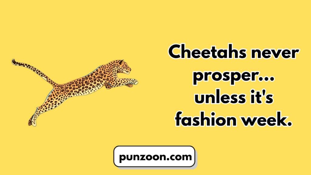 Funny Cheetah Puns Captions for Every Occasion 