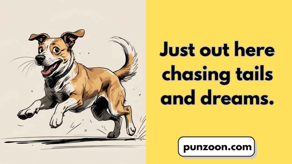 Funny Dog Puns Captions