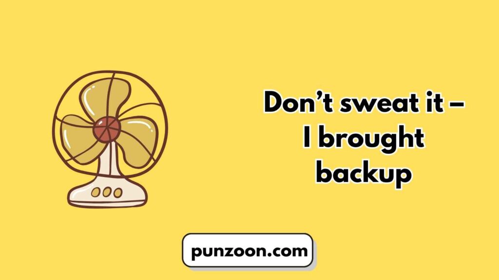 Funny Fan Puns Captions