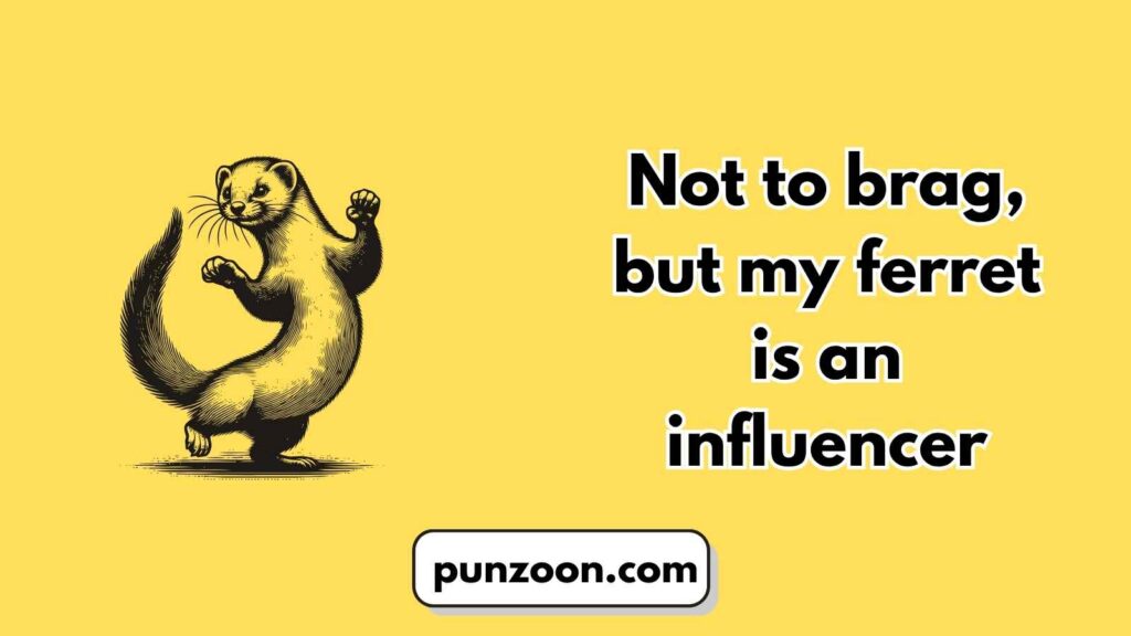 Funny Ferret Pun 