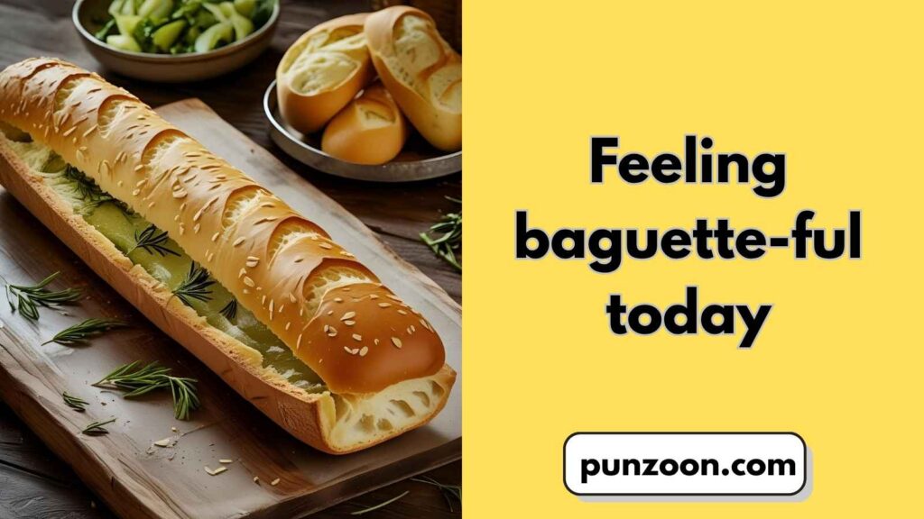 Funny French Puns Captions