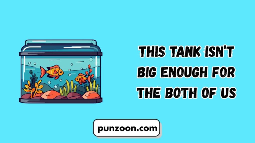 Funny Goldfish Puns Captions