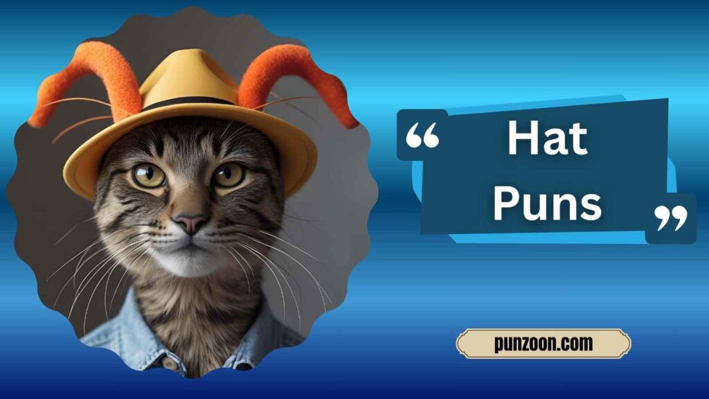 Funny Hat Puns One Liners