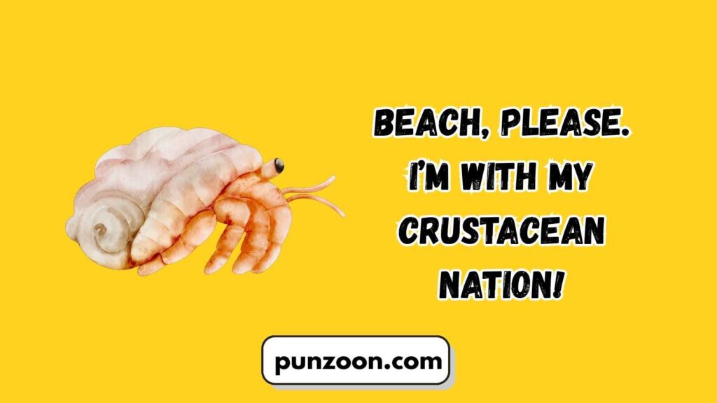 Funny Hermit Crab Puns Captions
