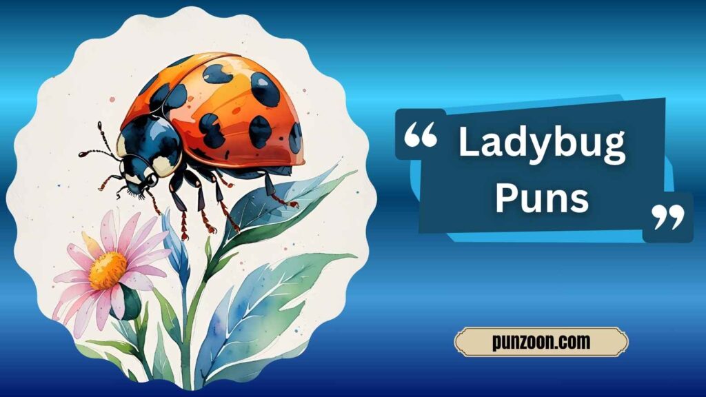 Funny Ladybug Puns One Liners