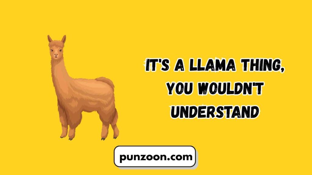 Funny Llama Puns Captions
