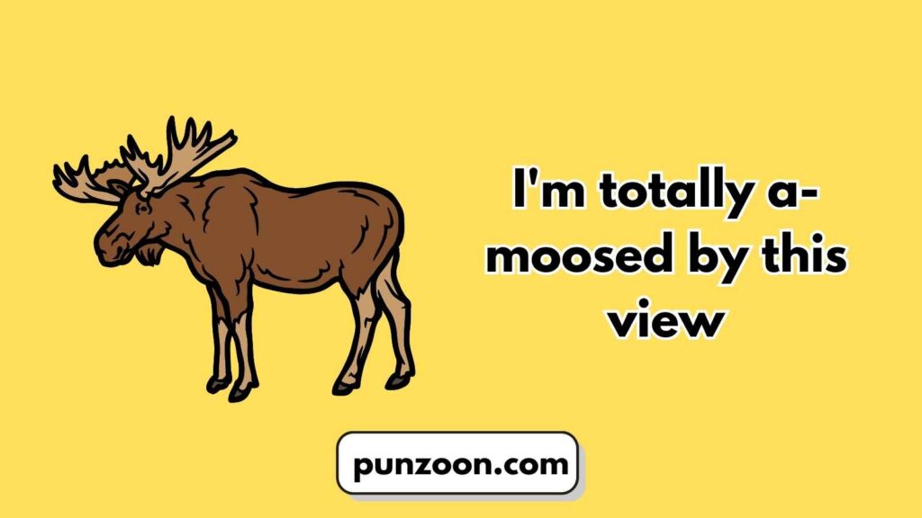 Funny Moose Puns Captions