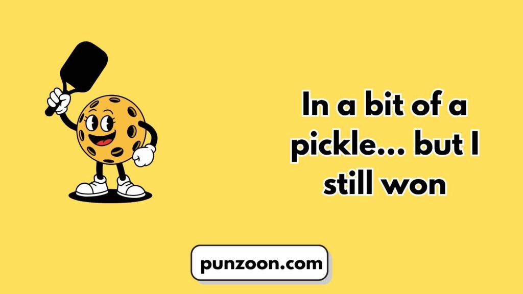  Funny Pickleball Puns 