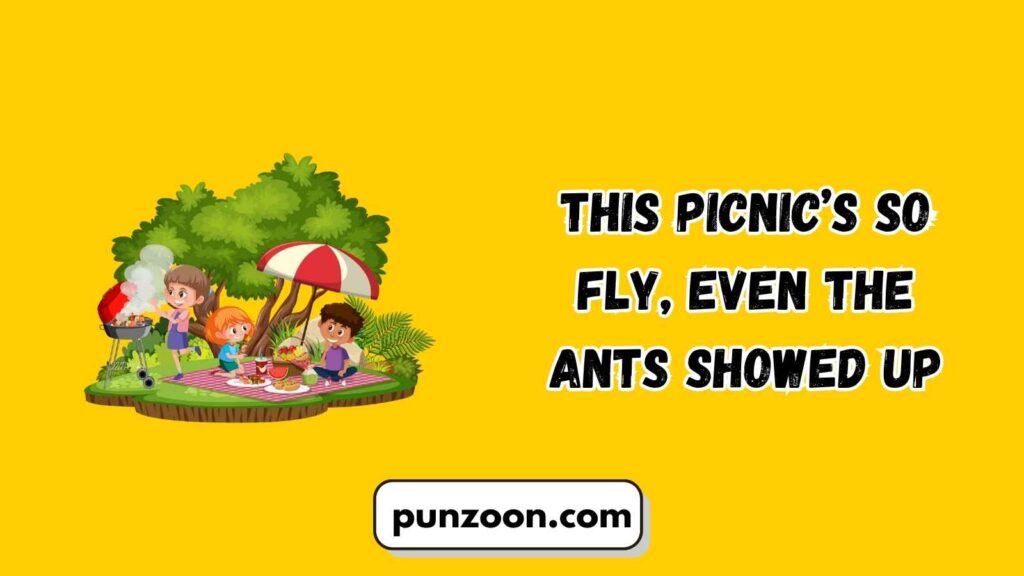 Funny Picnic Puns Captions