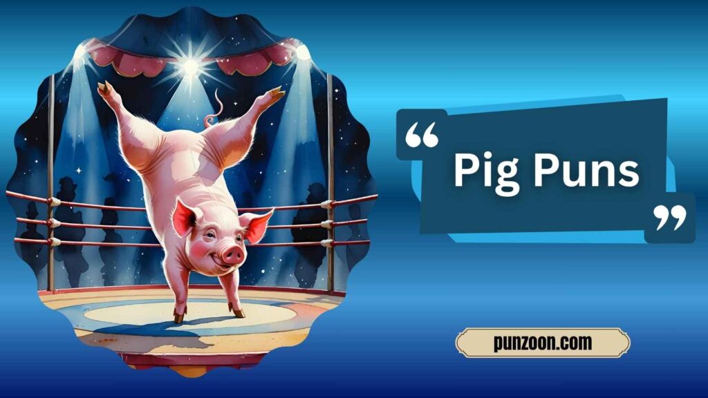 Funny Pig Puns One Liners