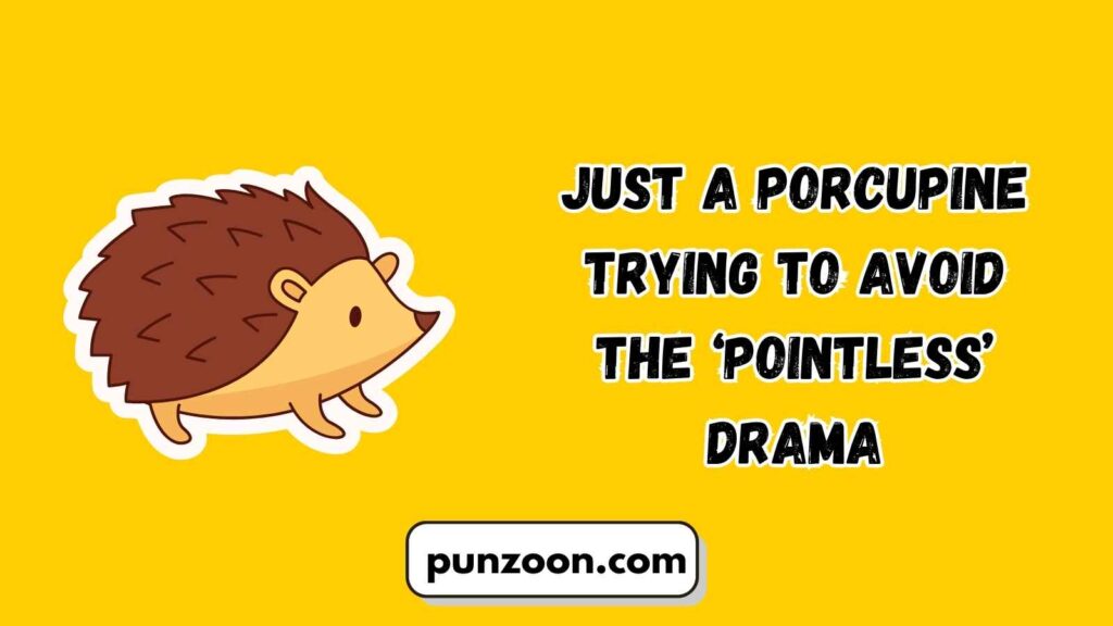 Funny Porcupine Puns Captions