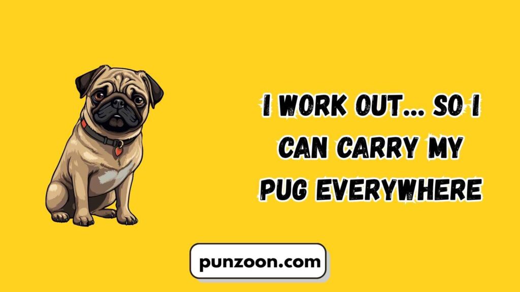  Funny Pug Puns Captions for Your Pics