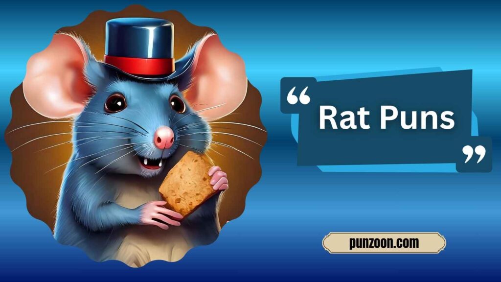 Funny Rat Puns One Liners