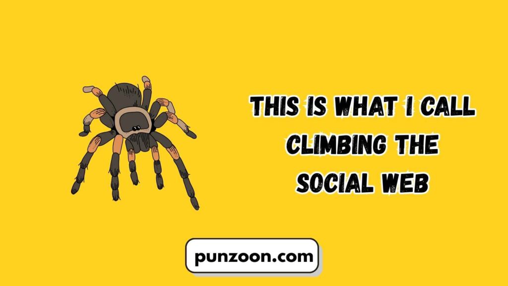 Funny Tarantula Pun Captions