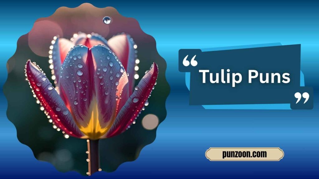  Funny Tulip Puns One Liners