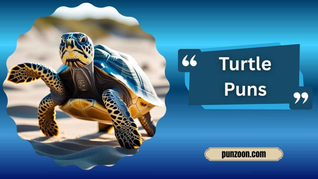 Funny Turtle Puns One Liners