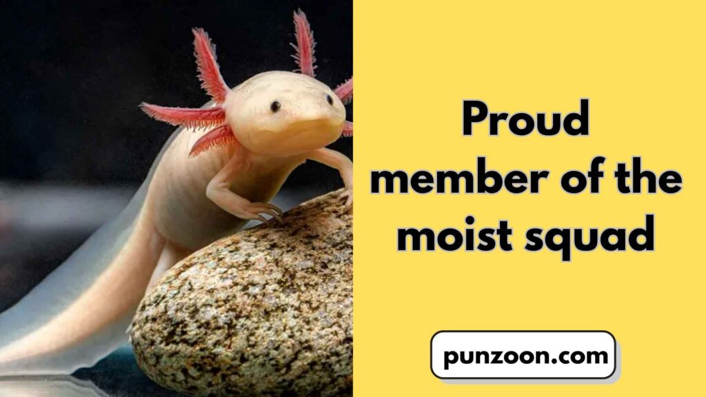 Short Funny Axolotl Puns