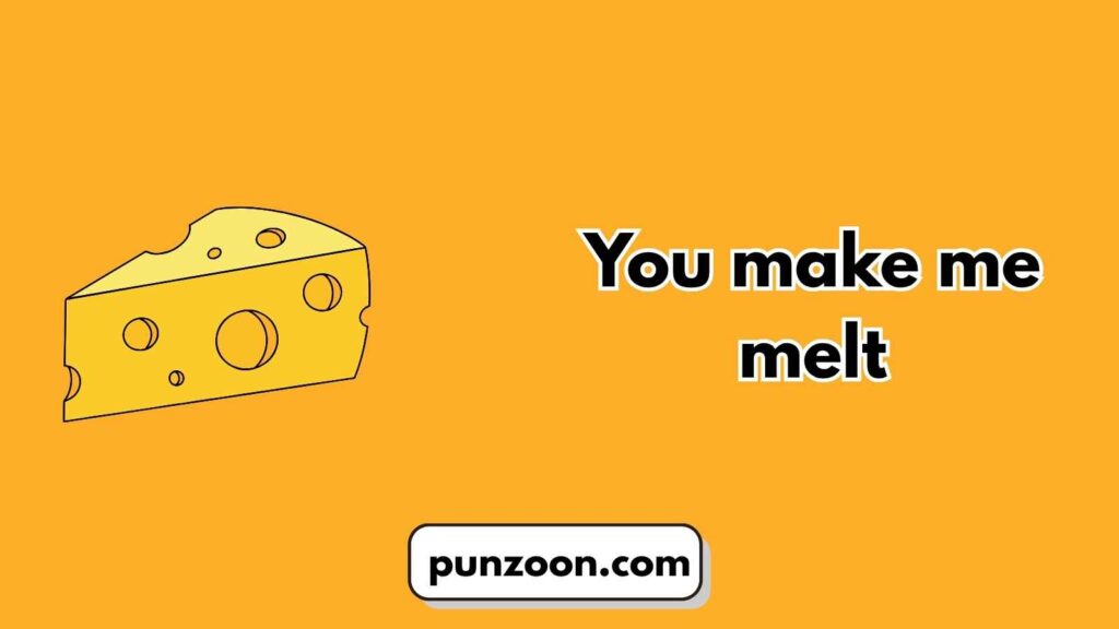 Short Funny Cheese Puns