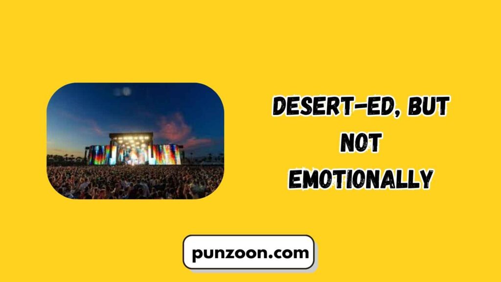  Short Funny Coachella Puns