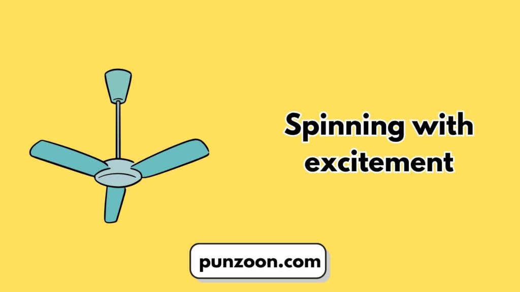 Short Funny Fan Puns