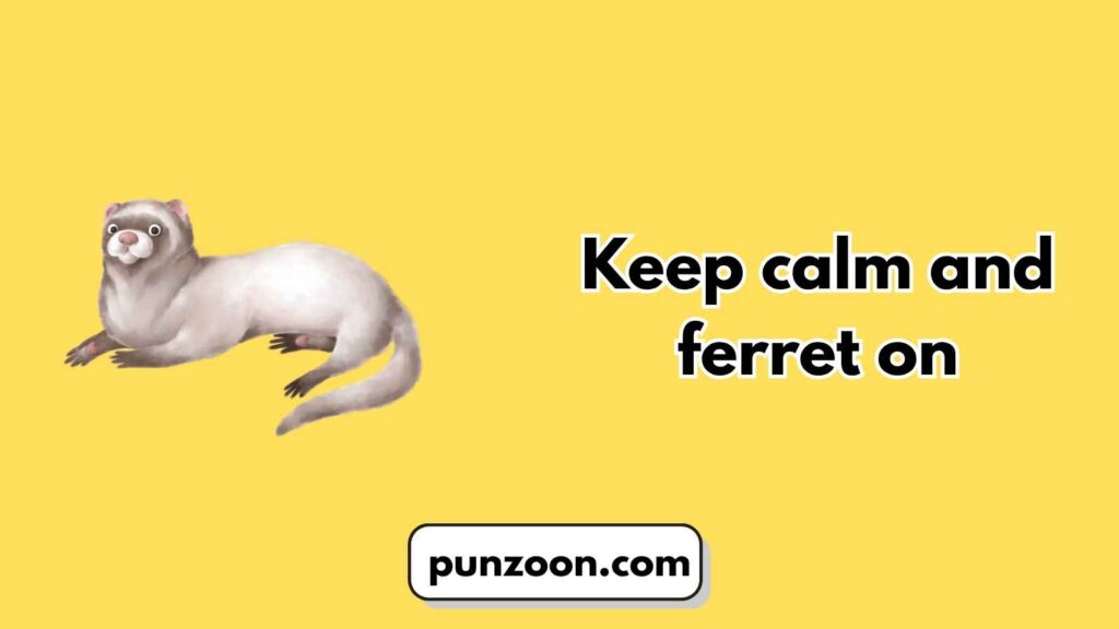  Short Funny Ferret Puns