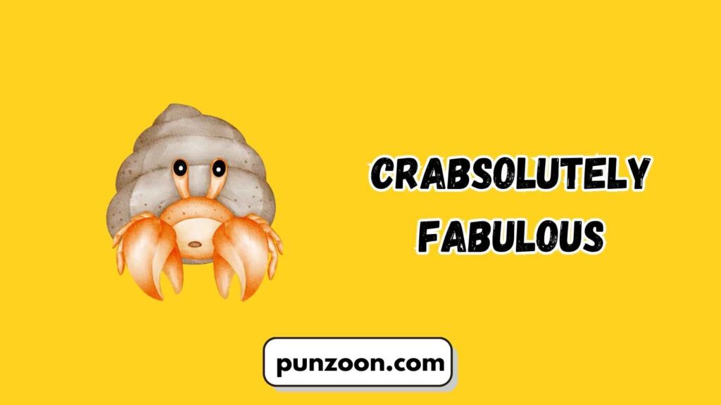 Short Funny Hermit Crab Puns
