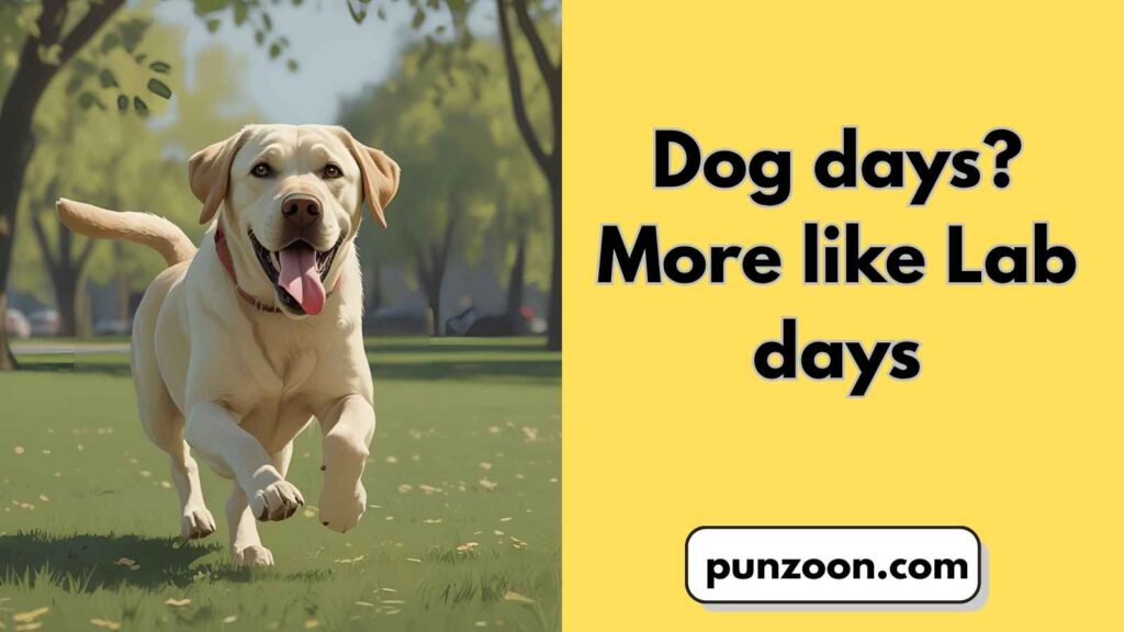 Short Funny Labrador Puns