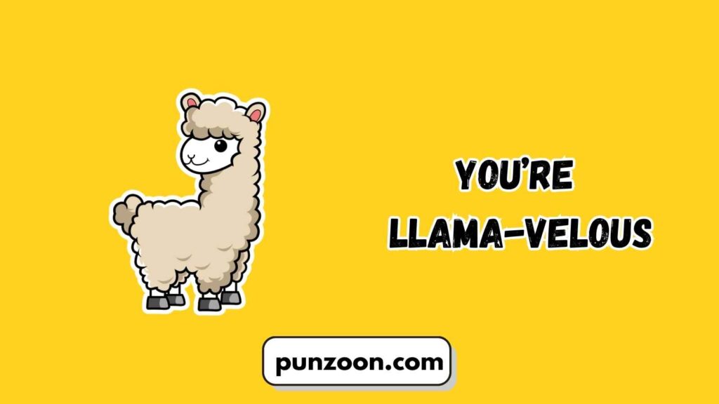 Short Funny Llama Puns