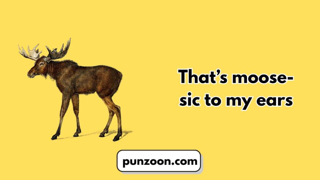 Short Funny Moose Puns