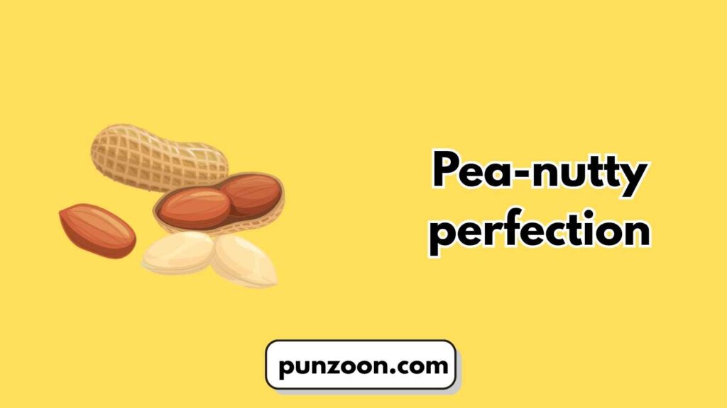 Short Funny Nut Puns