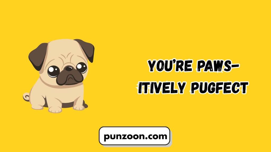  Short Funny Pug Puns 