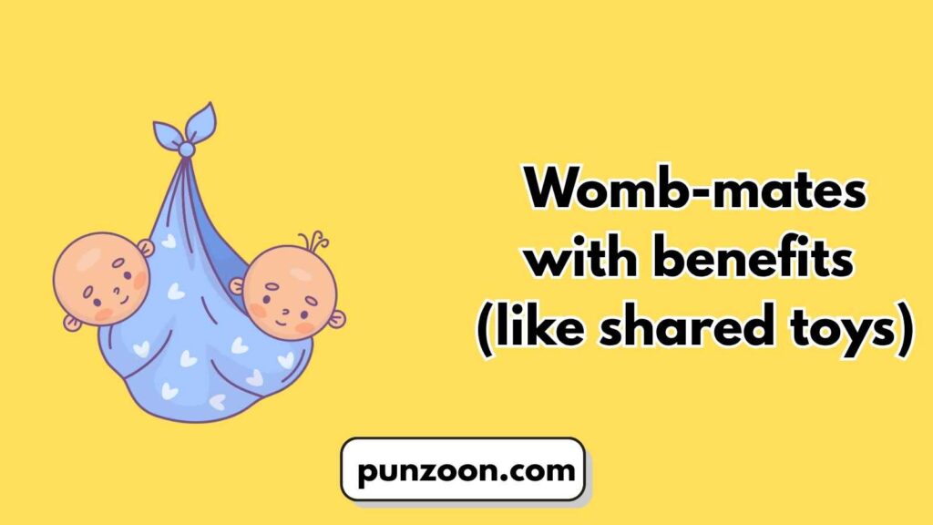 Short Funny Twin Puns