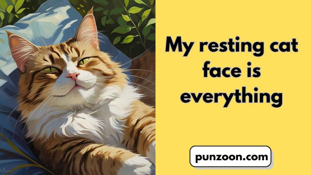 Witty Cat Puns for Social Media