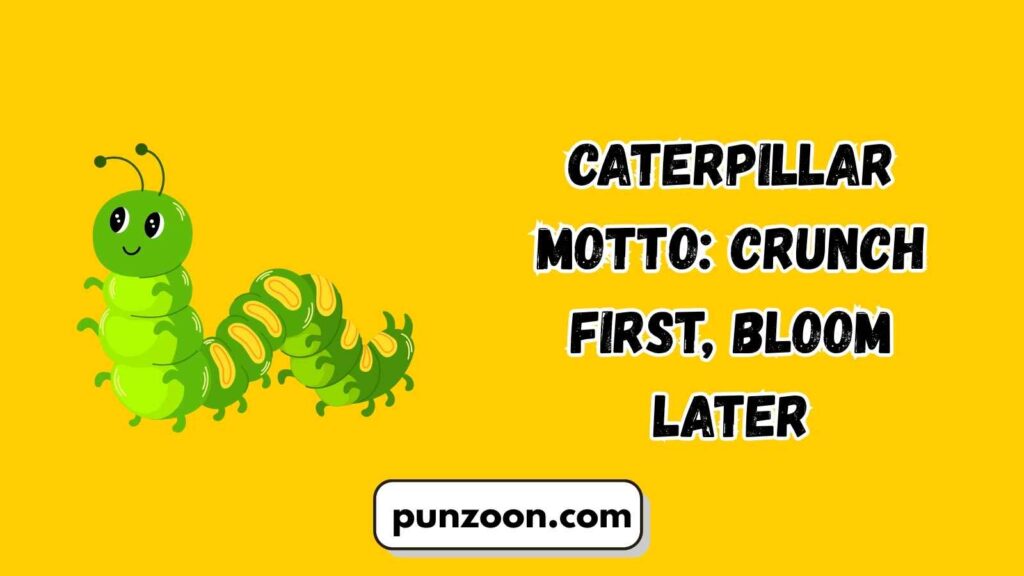 Witty Caterpillar Puns for Social Media