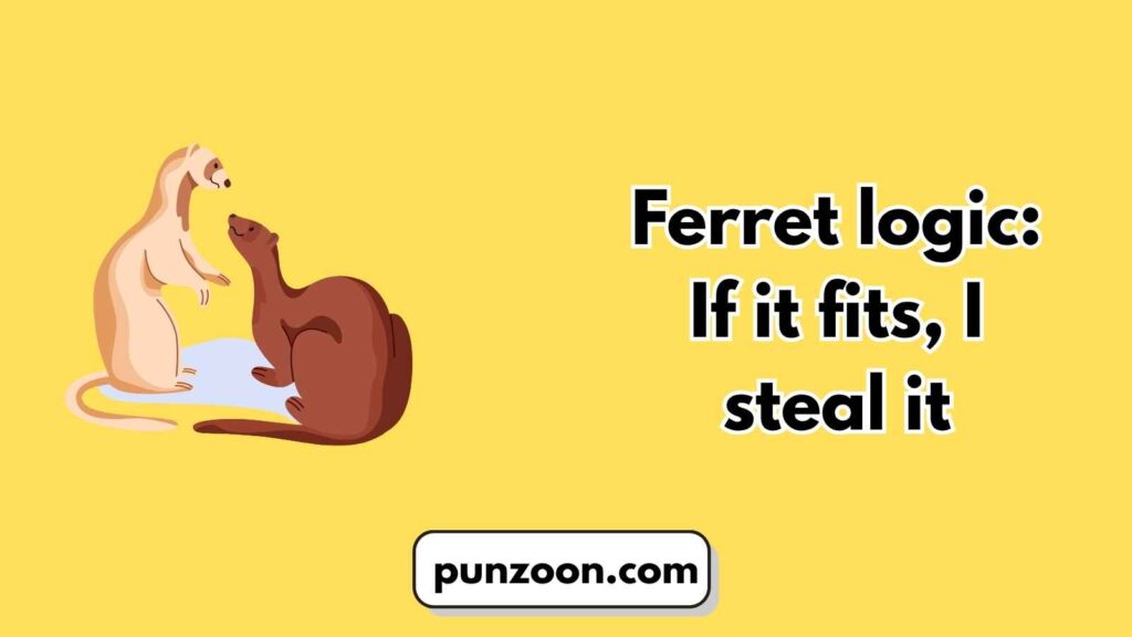 Witty Ferret Puns for Social Media